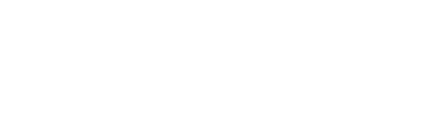 Dayshape Dayshape